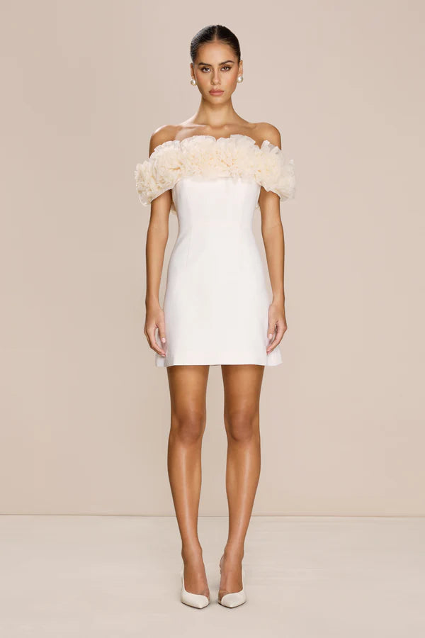 Sonya Nahla Mini Dress - Tawny Comfortable Fit-and-Flare Mini Dress